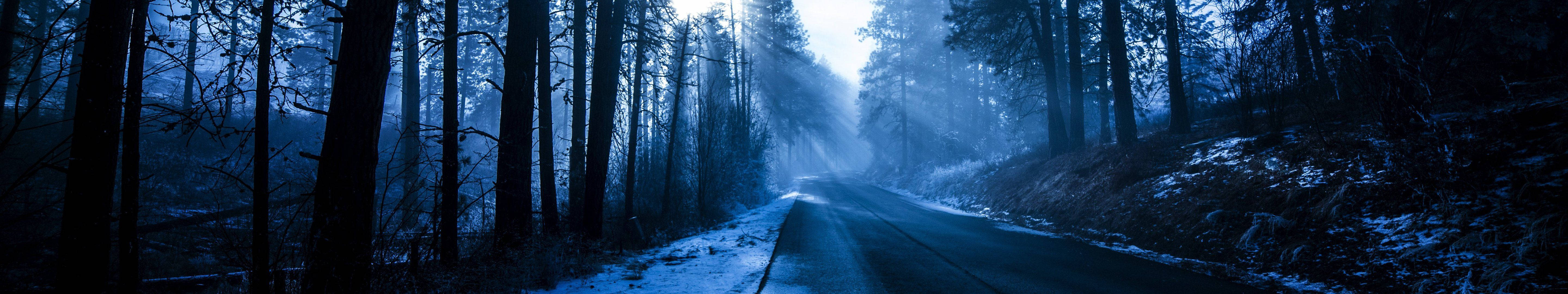 Blue Aesthetic Forest Road Background