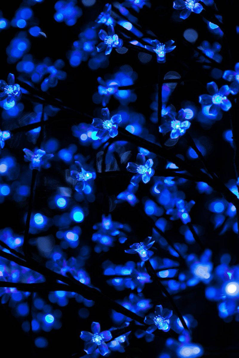 Blue Aesthetic Glowing Sakura Background