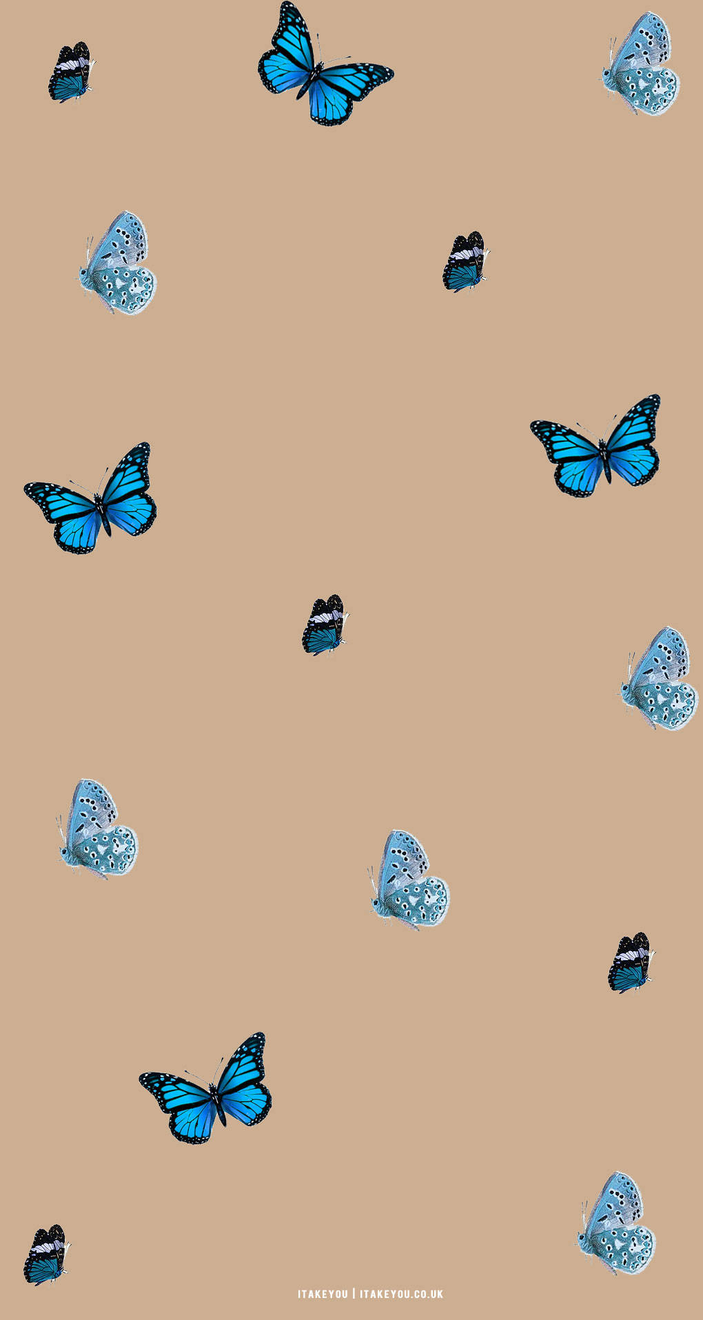 Blue And Beige Butterfly Aesthetic Background