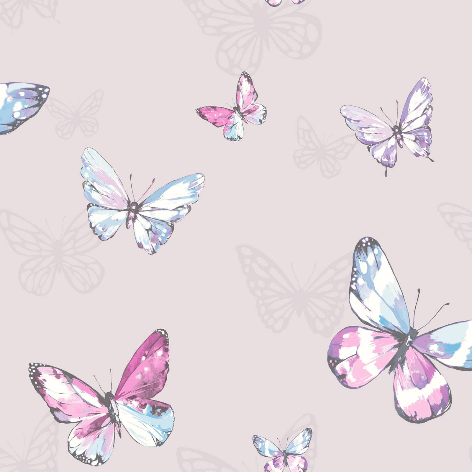 Blue And Cute Pink Butterfly Colors Background