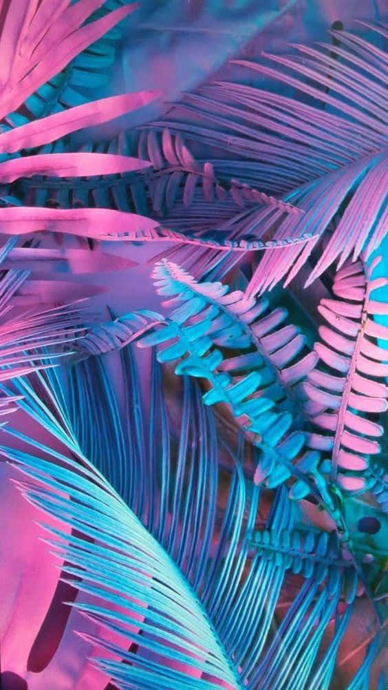 Blue And Pink Aesthetic Neon Coconut Leaves Background