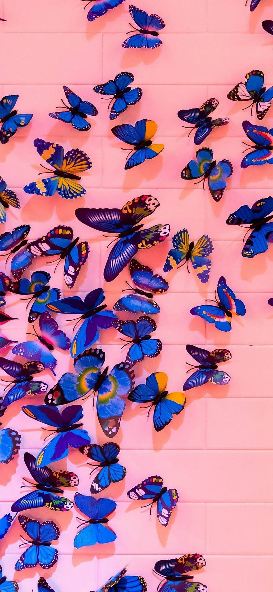 Blue And Pink Butterfly Aesthetic