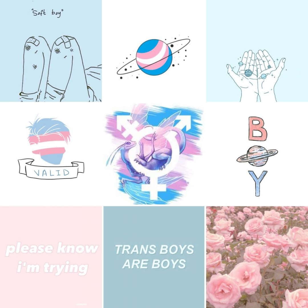 Blue And Pink Trans Aesthetic Collage