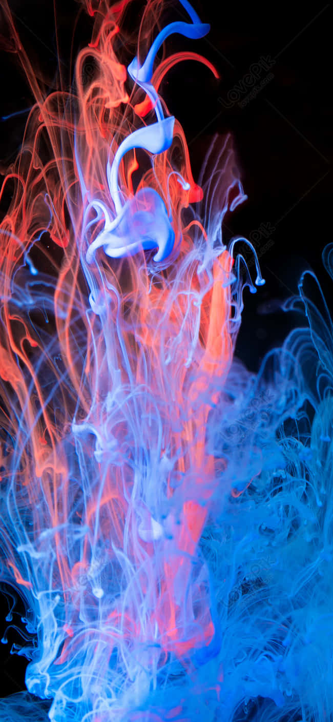 Blue And Red Flames Mix Together To Create A Beautiful Fiery Display Background