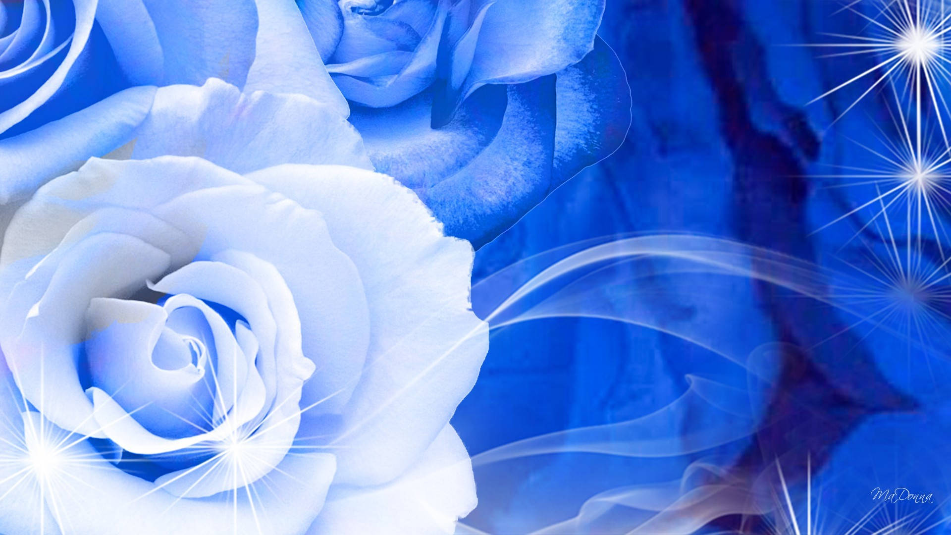 Blue And White Blooming Roses Background