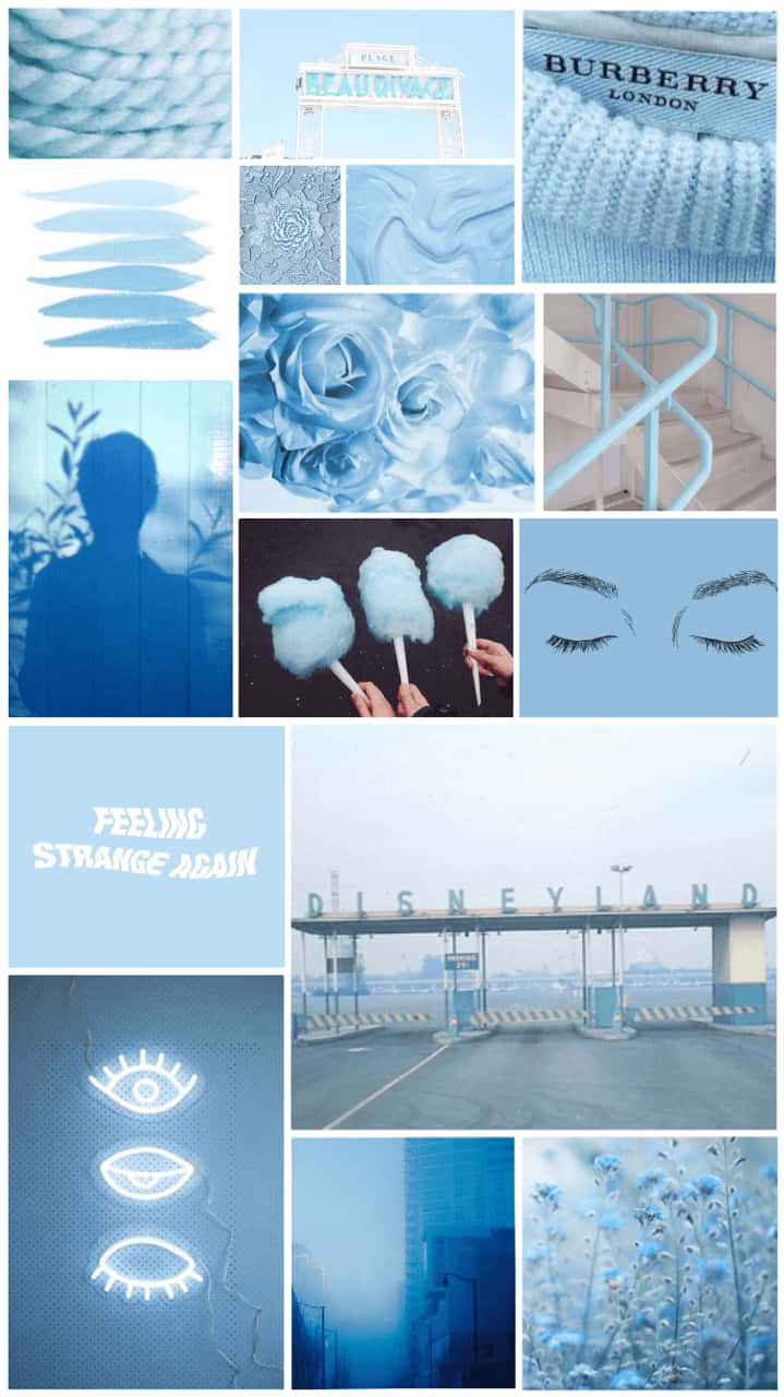 Blue And White Collage With Various Pictures