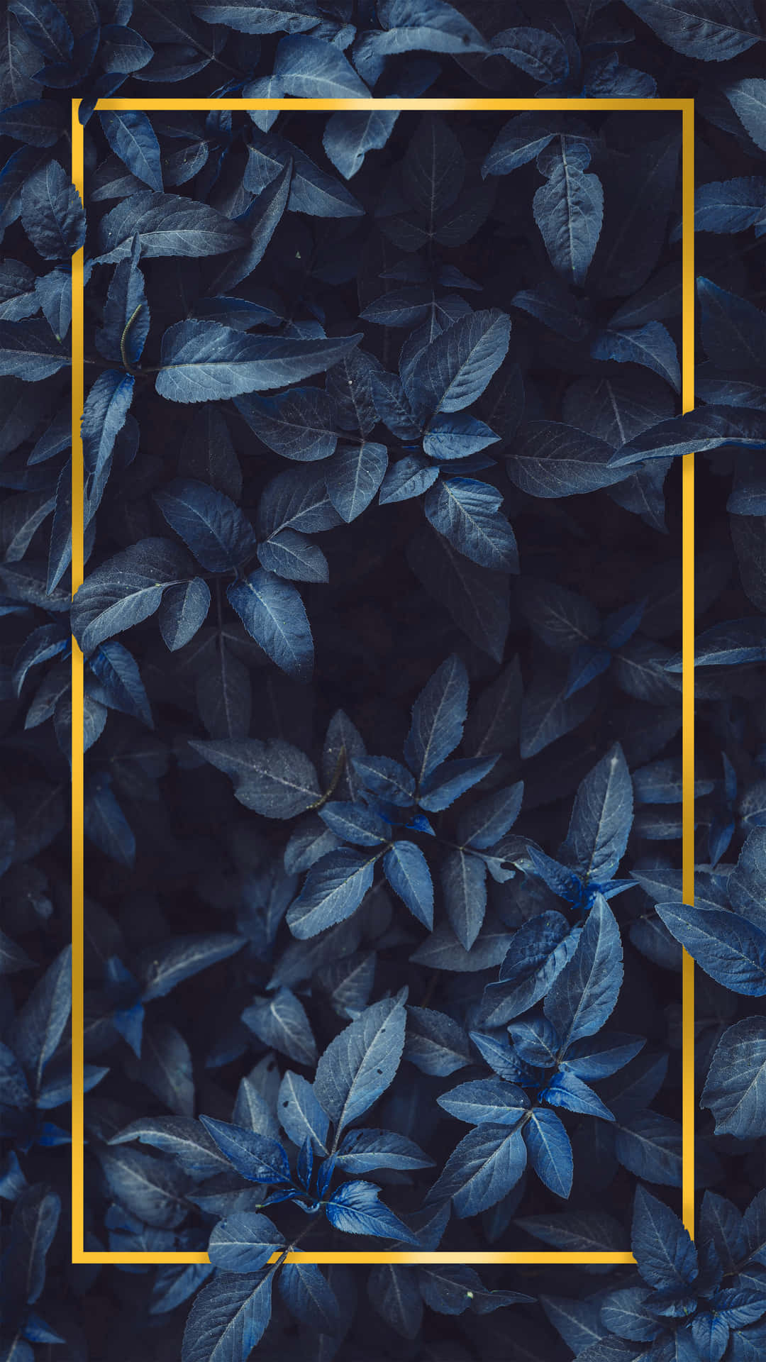 Blue Background 2160 X 3840 Wallpaper