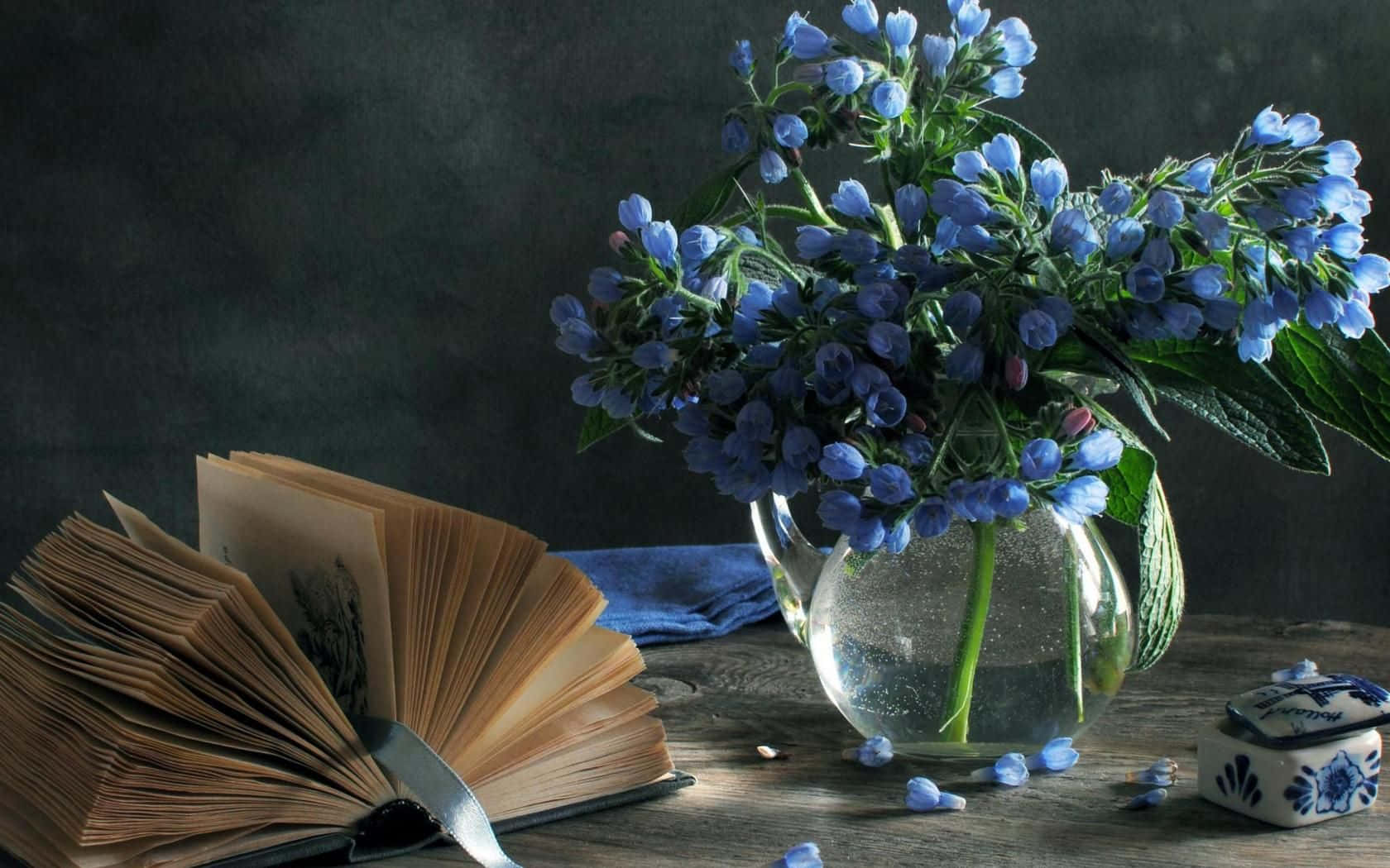 Blue Bell Book Still Life Background