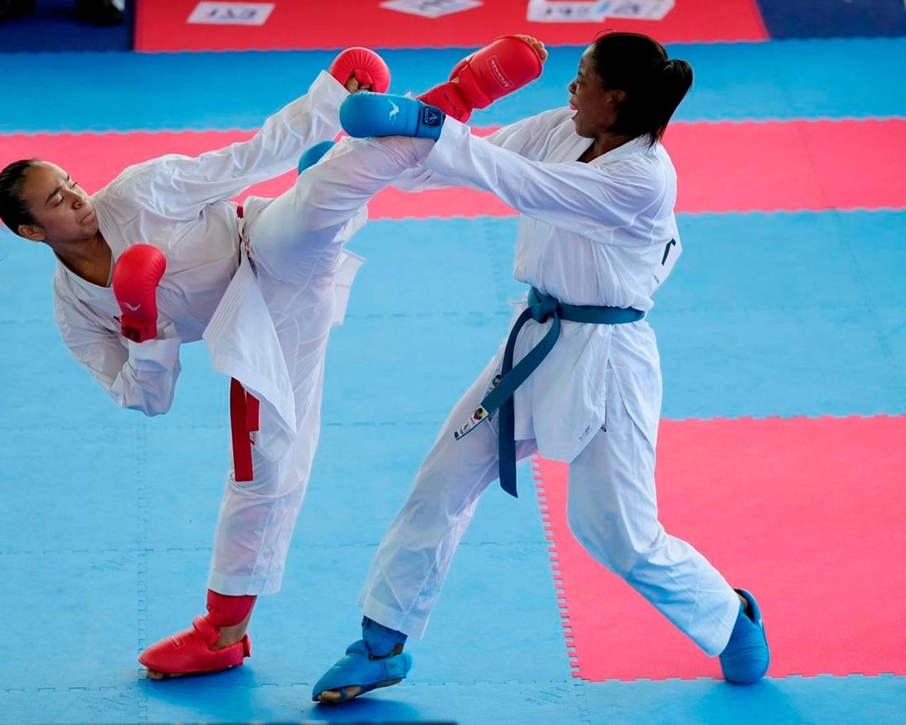 Blue Belt Vs Red Belt Karate Duel