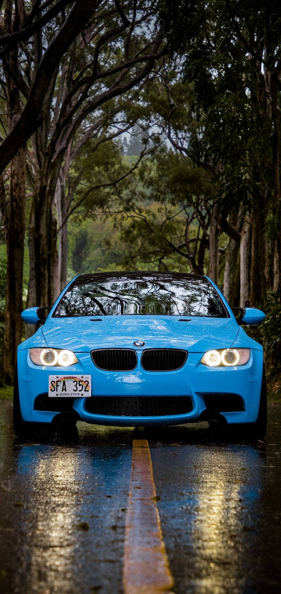 Blue Bmw In Tree-covered Pathway Background