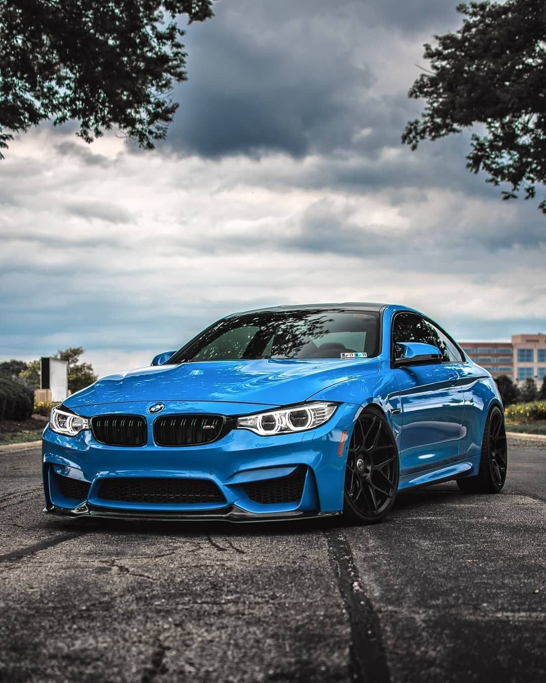 Blue Bmw Parked Beside Trees Background