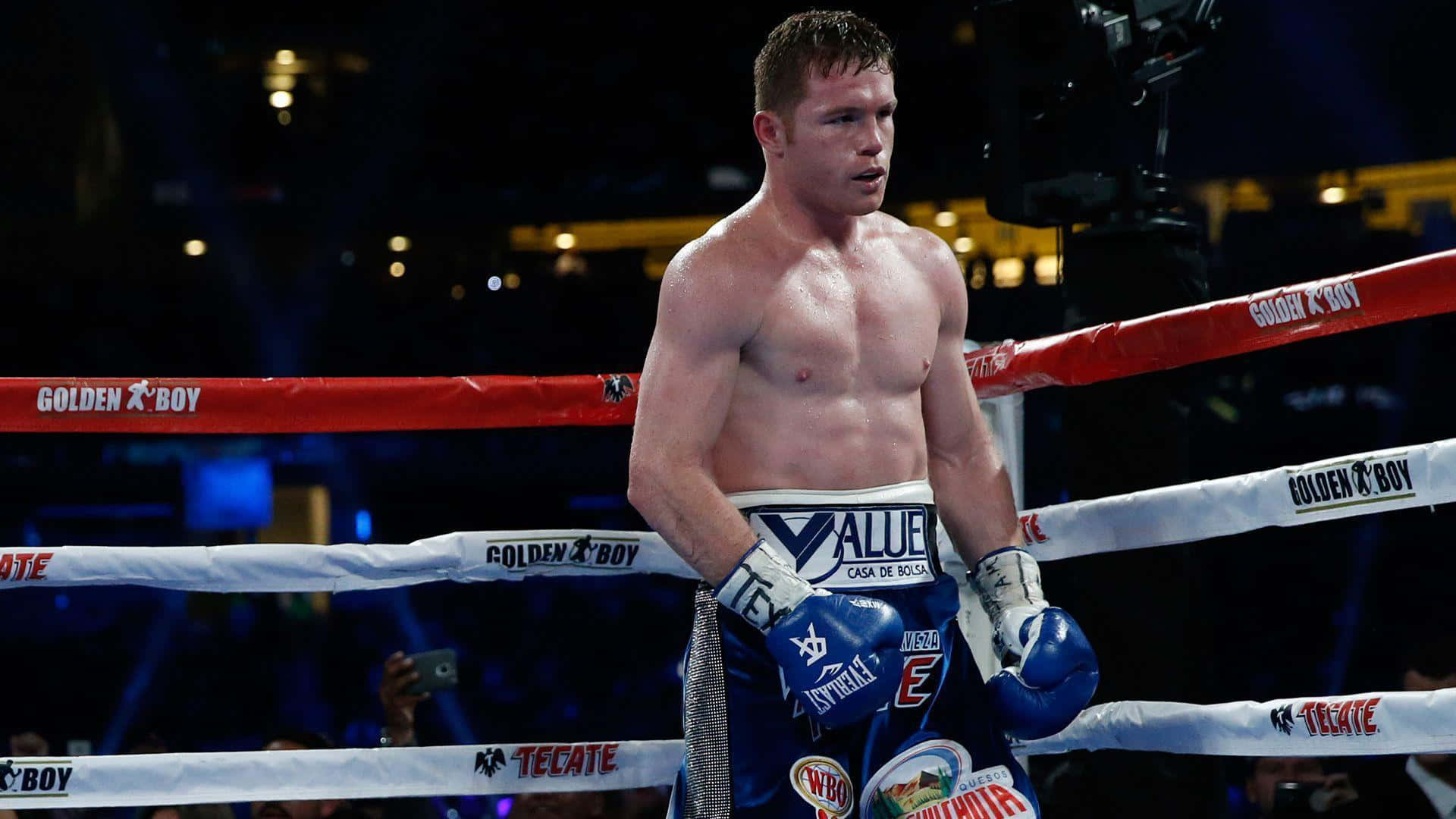 Blue Boxing Gloves Of Boxing Champion Saul 'canelo' Alvarez Background