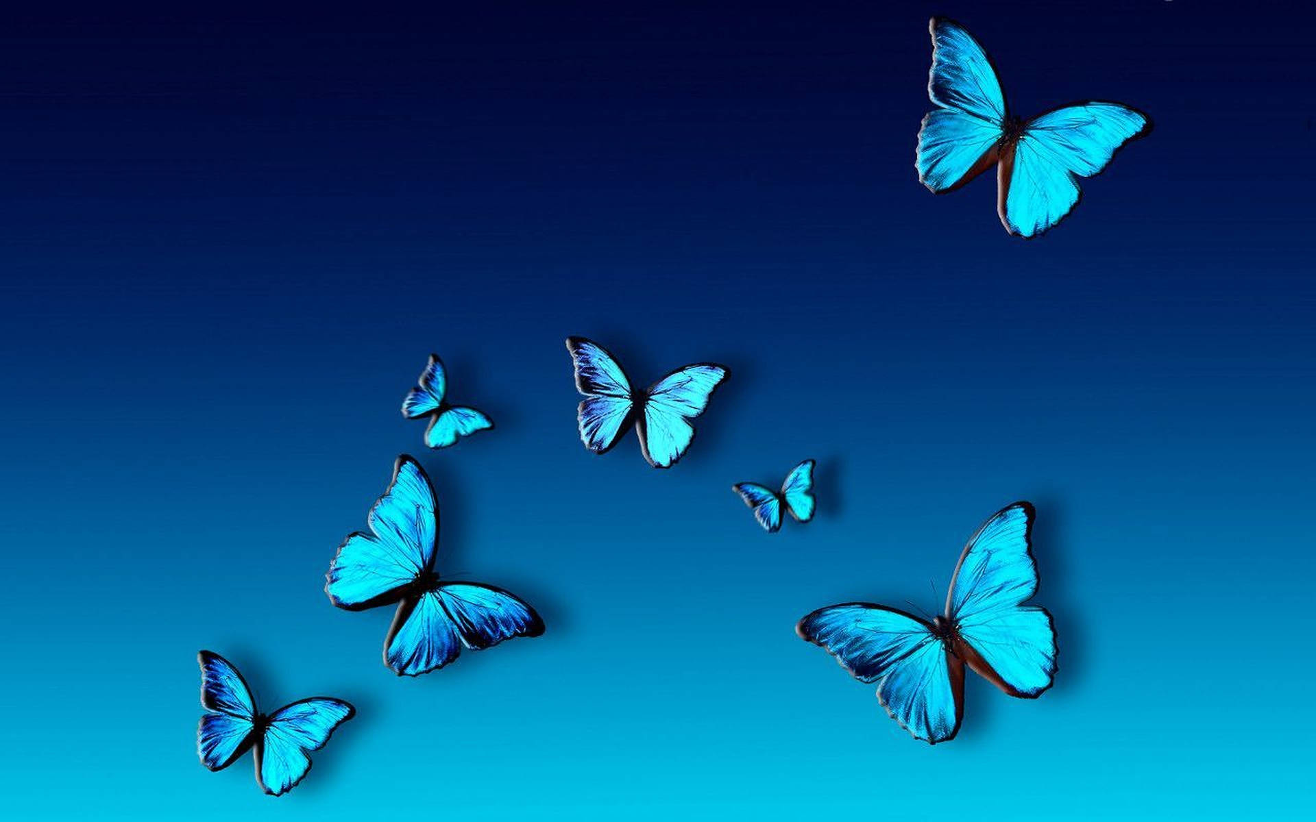 Blue Butterflies Aesthetic Desktop Background