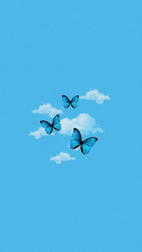 Blue Butterflies Flying In The Sky Background