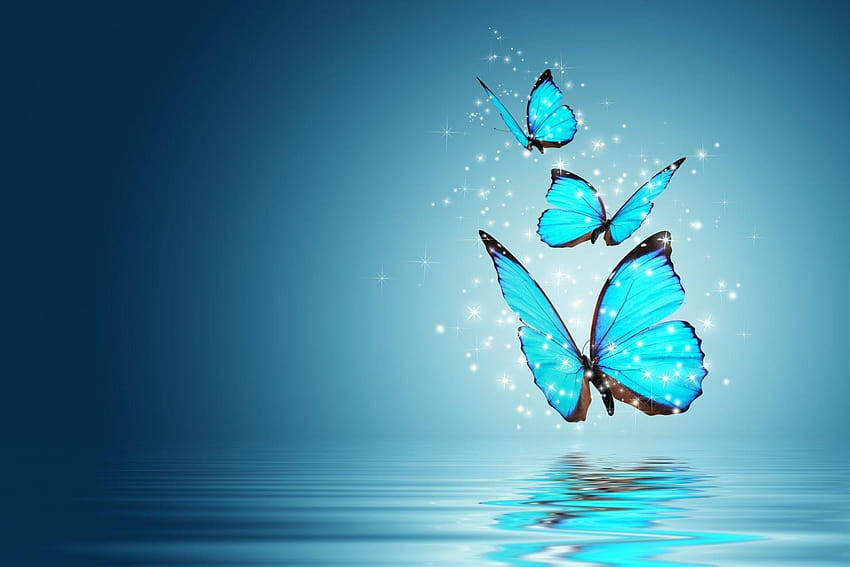 Blue Butterflies Full Desktop Screen Hd Background