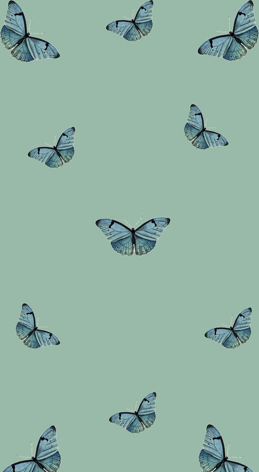 Blue Butterflies On A Cute Sage Green Surface Background
