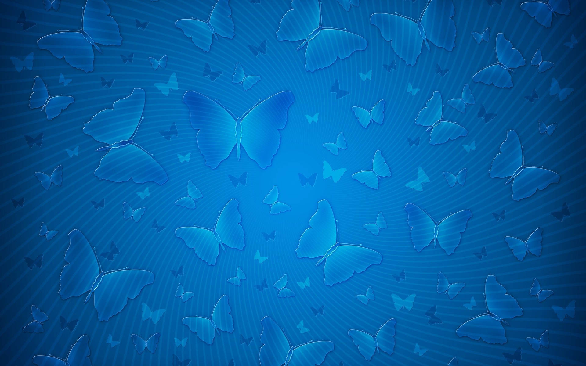 Blue Butterflies Plain Color Background