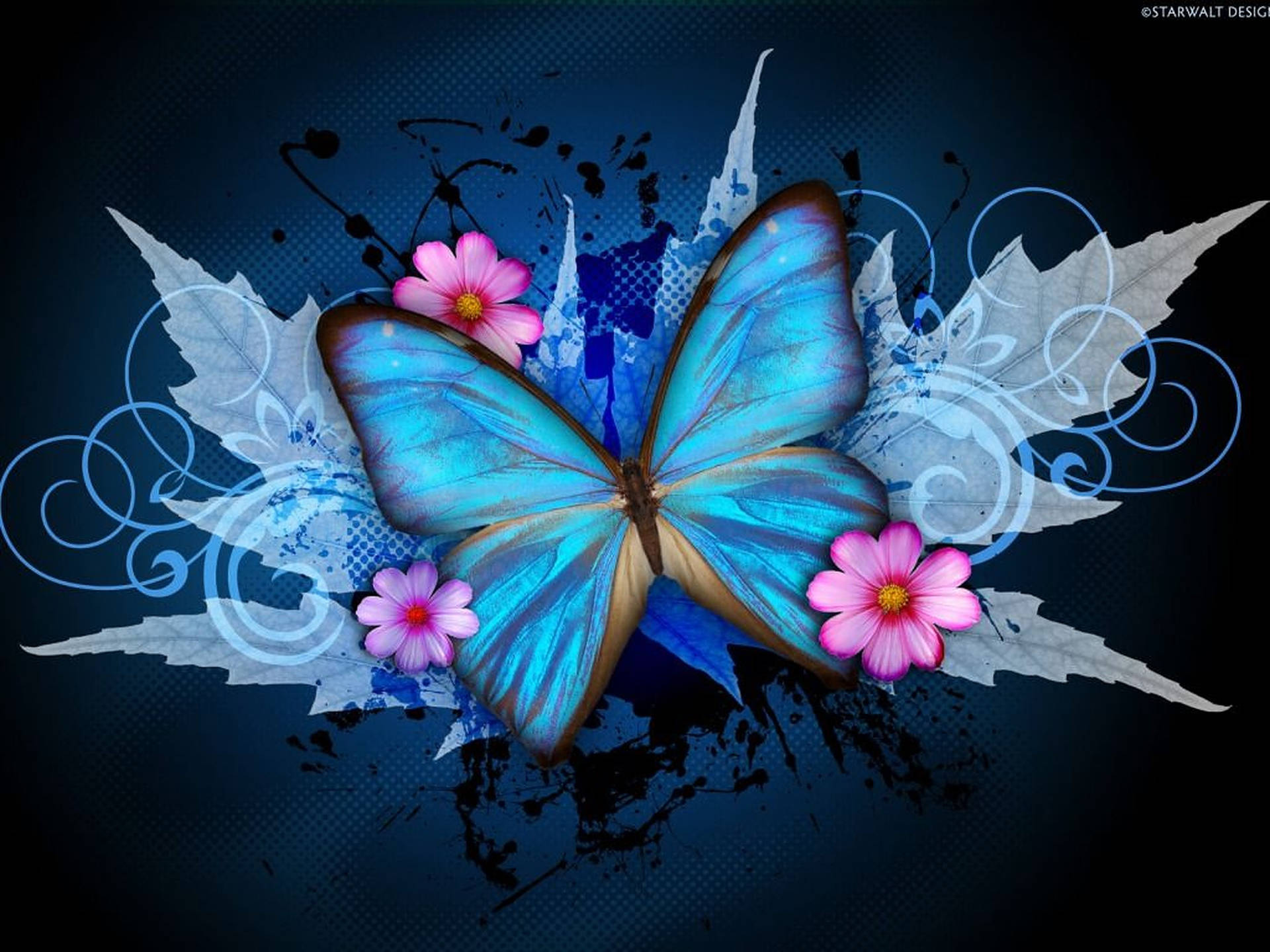Blue Butterfly Aesthetic Canvass Background