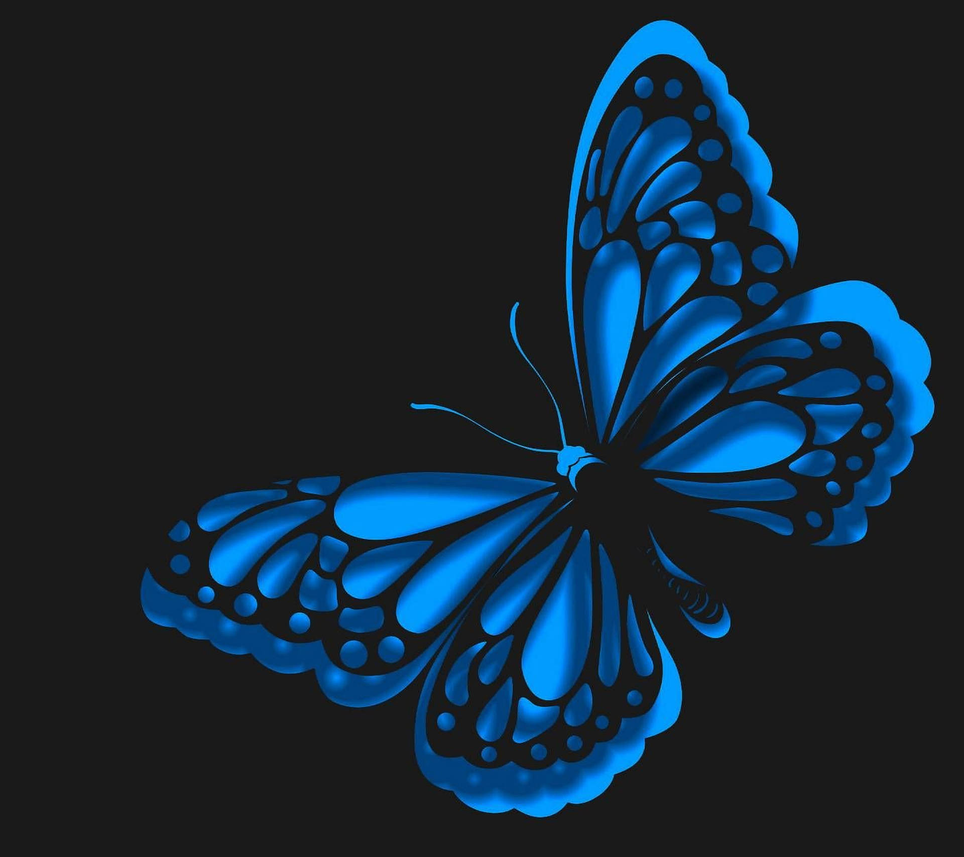 Blue Butterfly Aesthetic Drawing