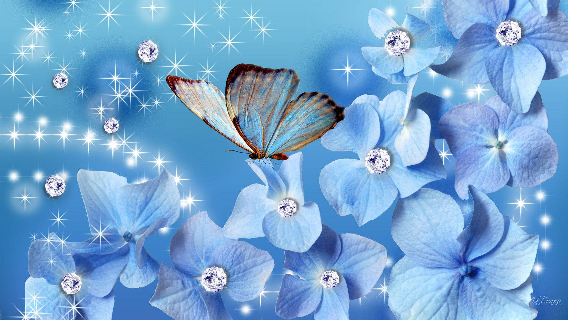 Blue Butterfly Aesthetic Flowers Background