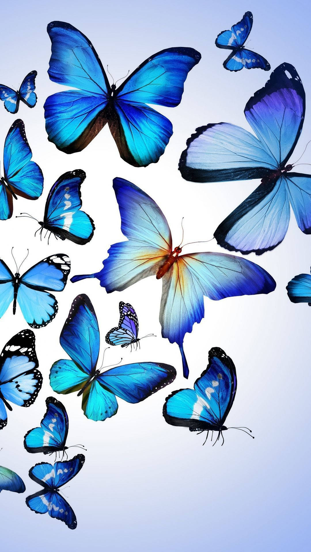 Blue Butterfly Aesthetic Pattern Background