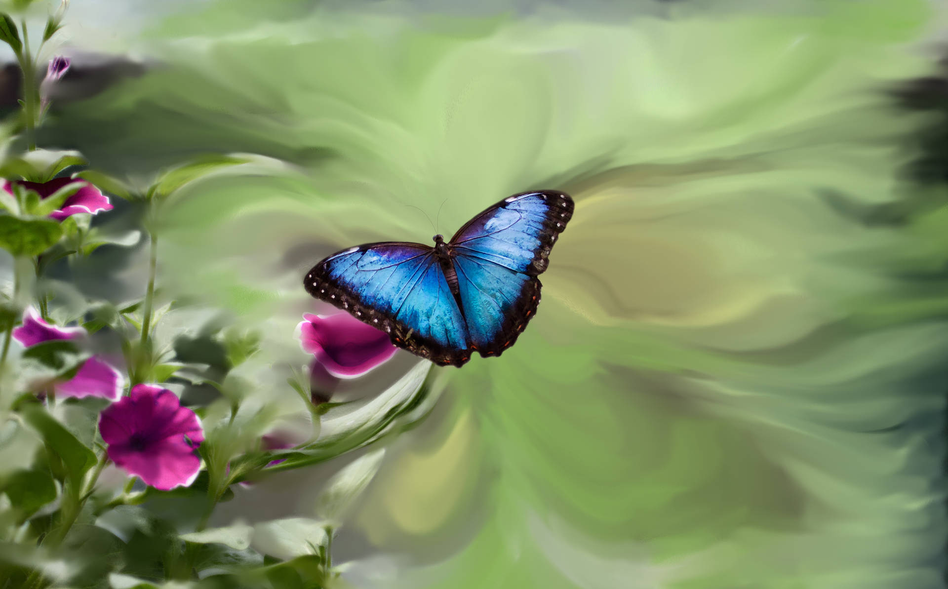 Blue Butterfly Digital Painting Background