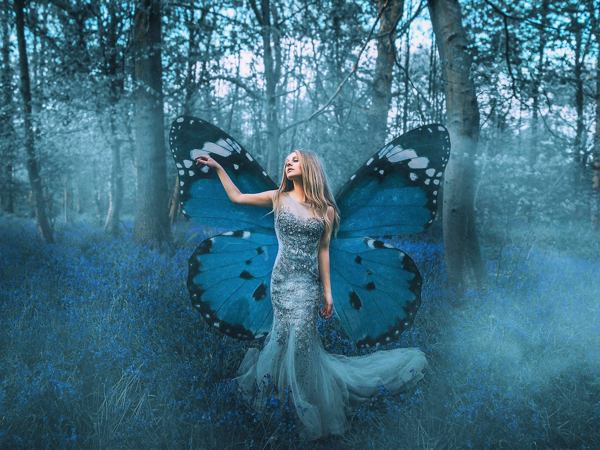 Blue Butterfly Personification Background