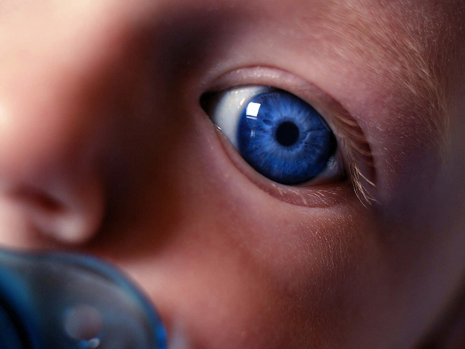 Blue Child's Eye Closeup