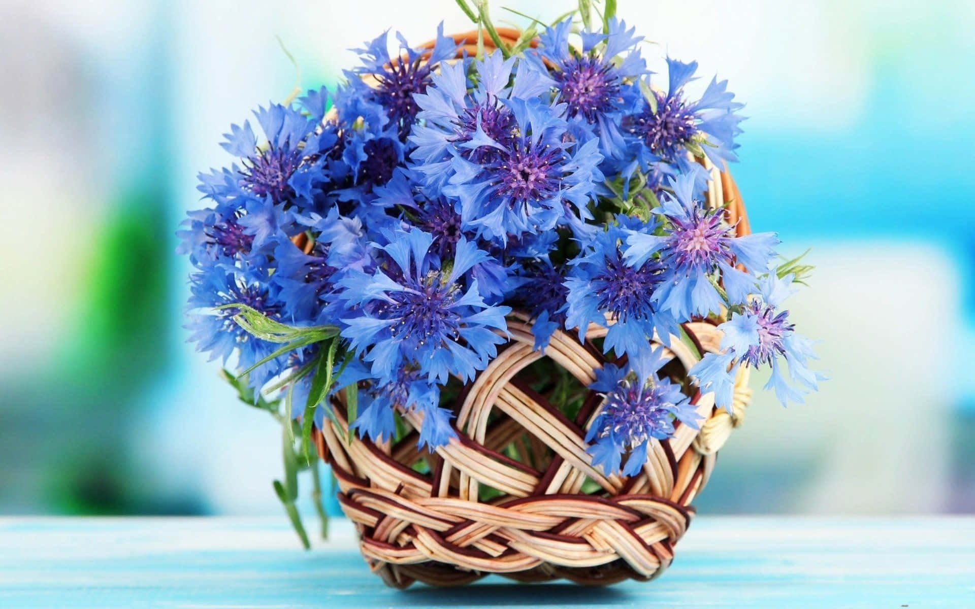 Blue Cornflowersin Wicker Basket Background