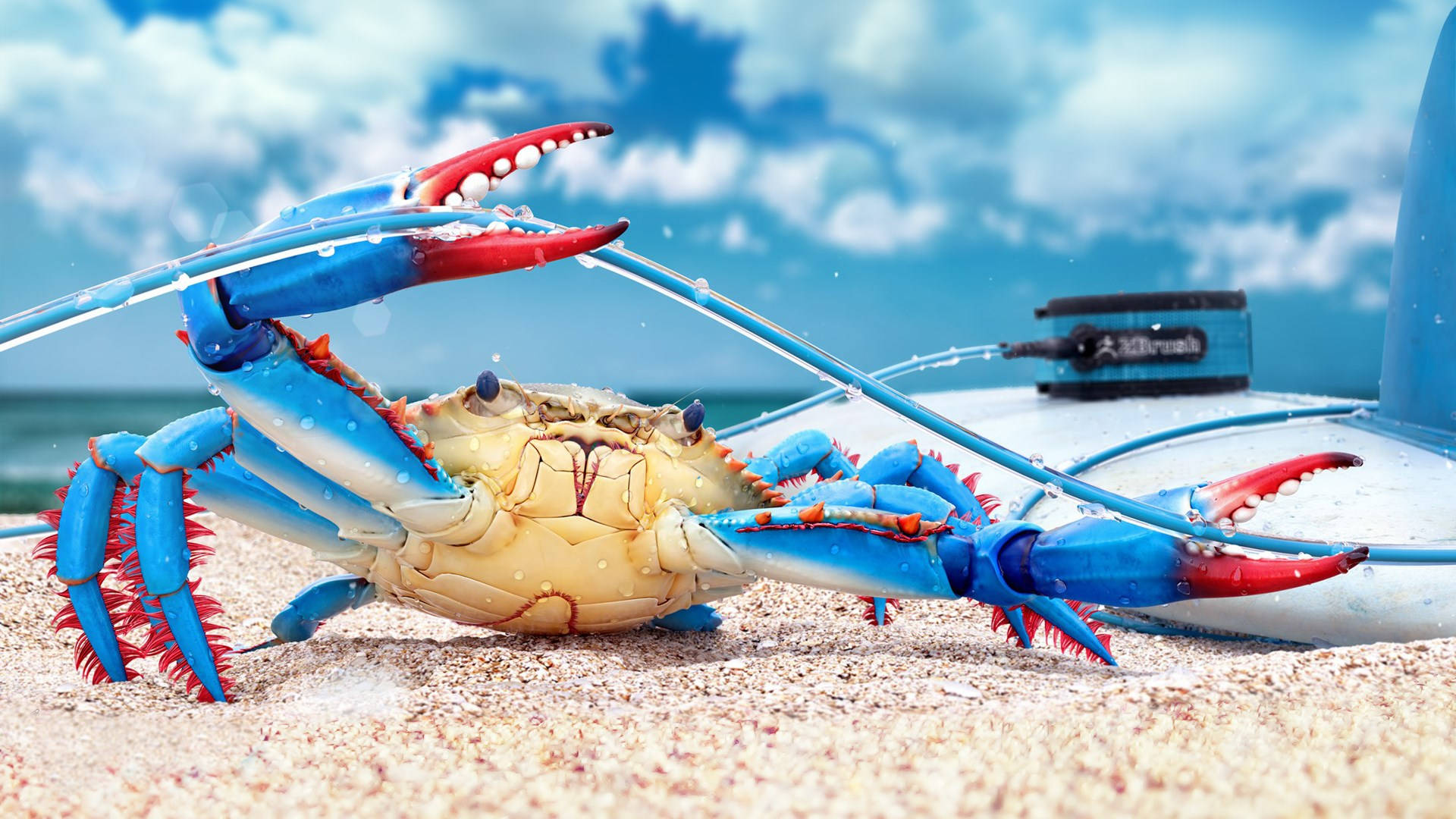 Blue Crab On Sand