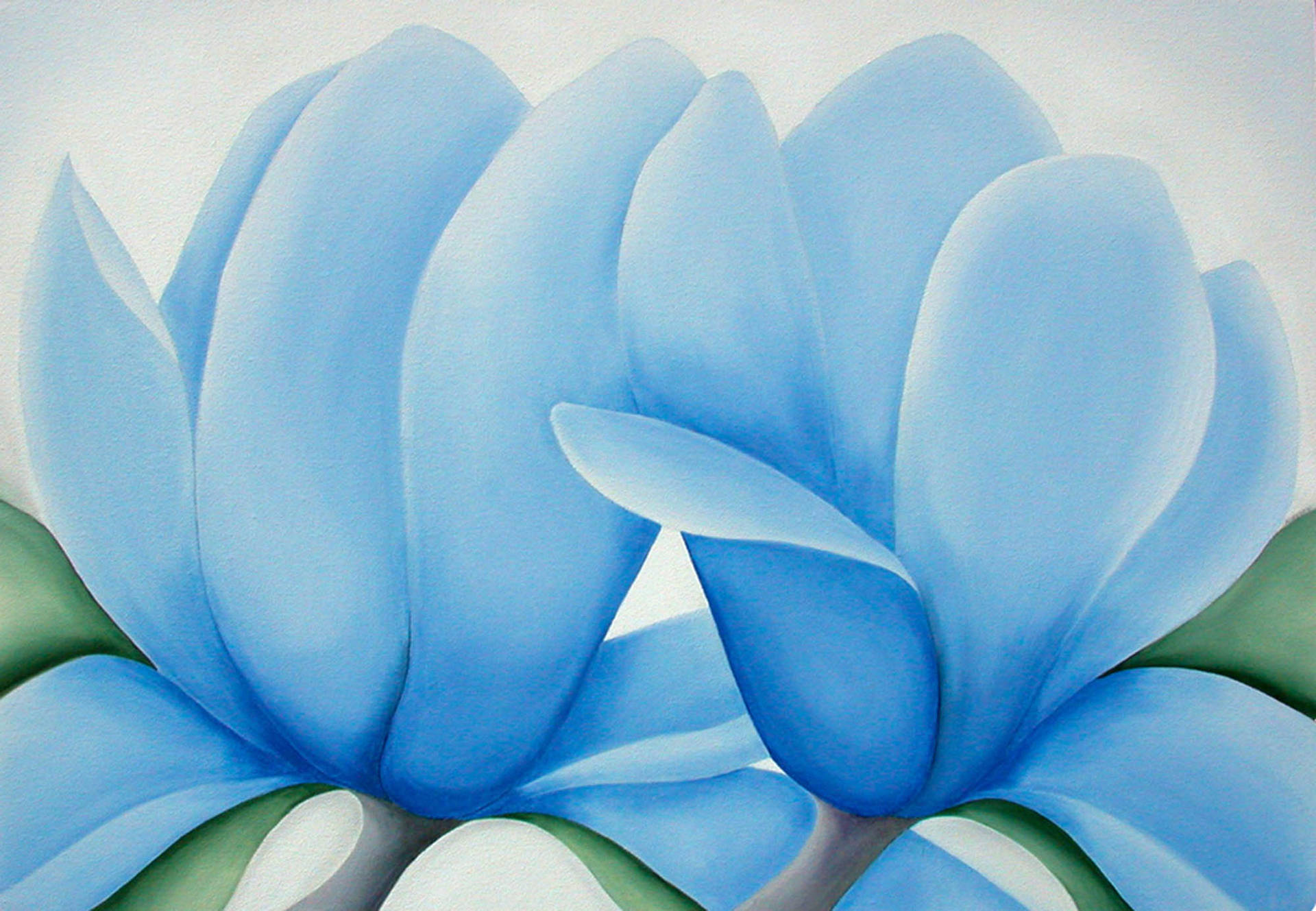 Blue Cyclamen Painting Background