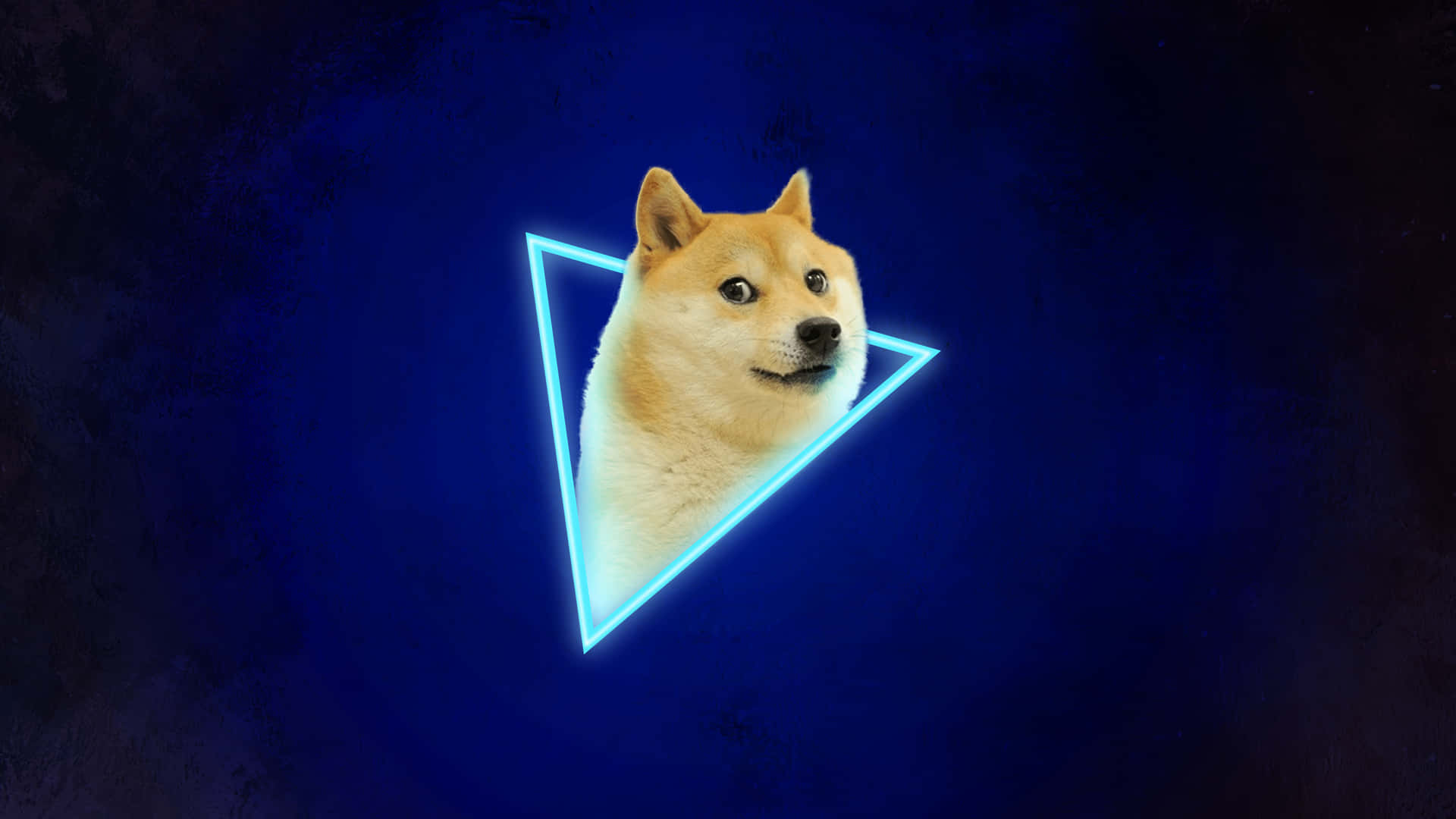 Blue Doge Triangle Background