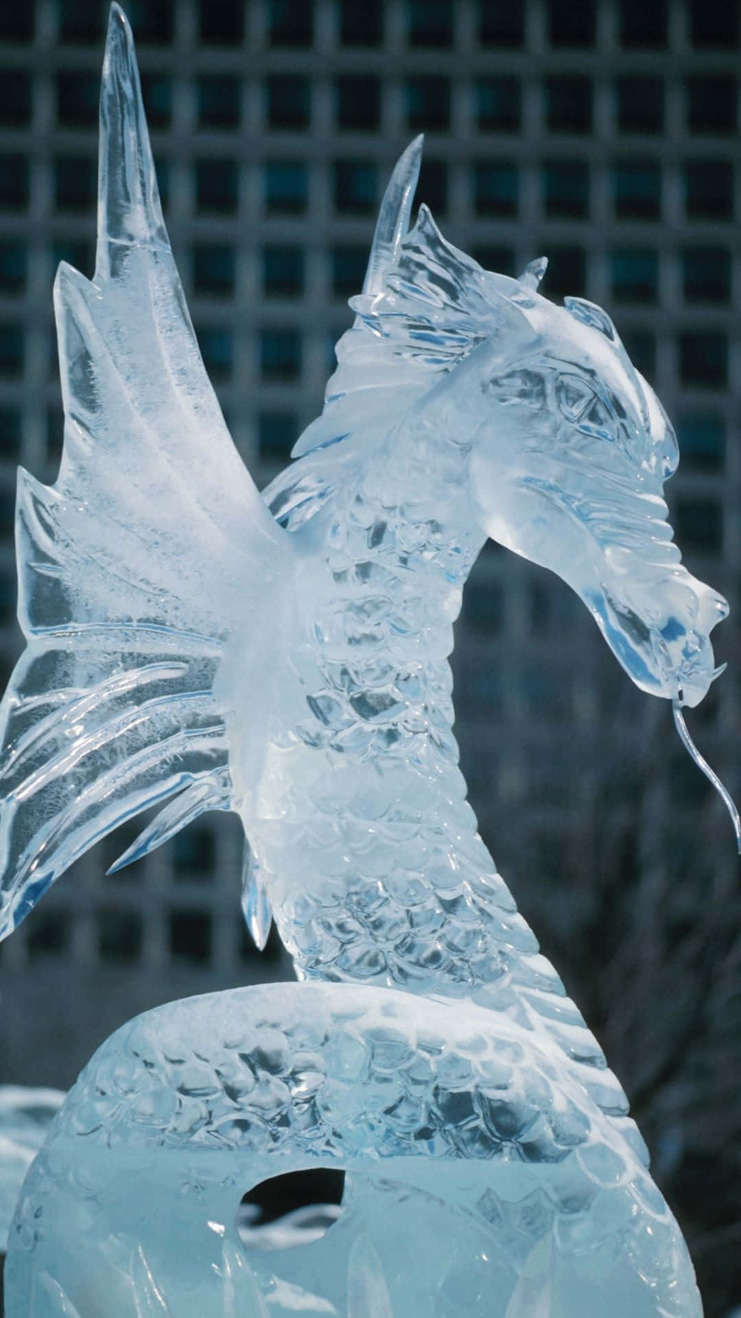 Blue Dragon Fantasy Wallpaper Background