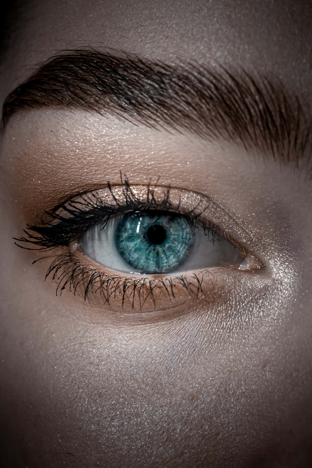 Blue Eye And Thick Brow Closeup Background