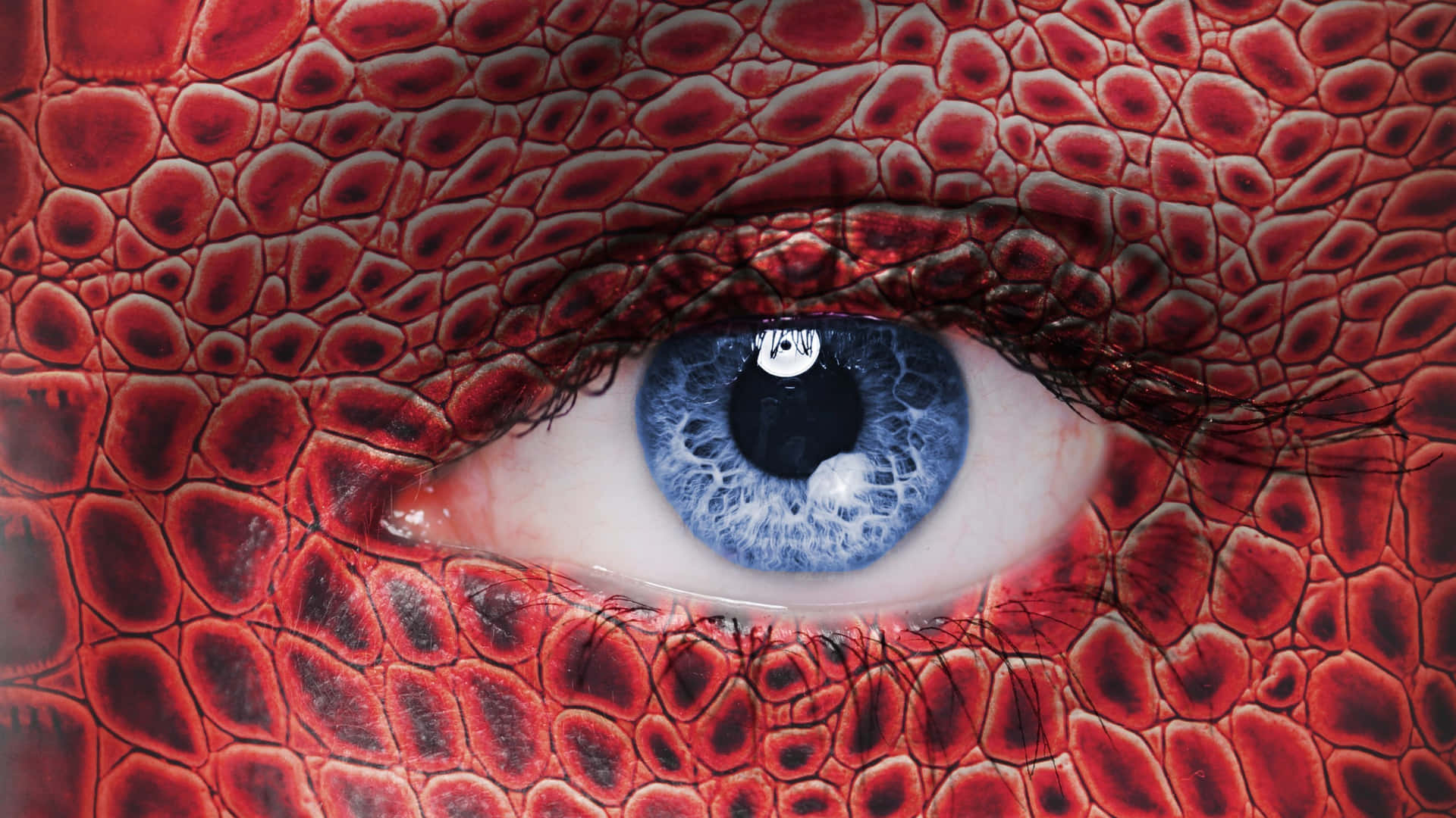 Blue Eye Closeup And Red Dragon Skin Background