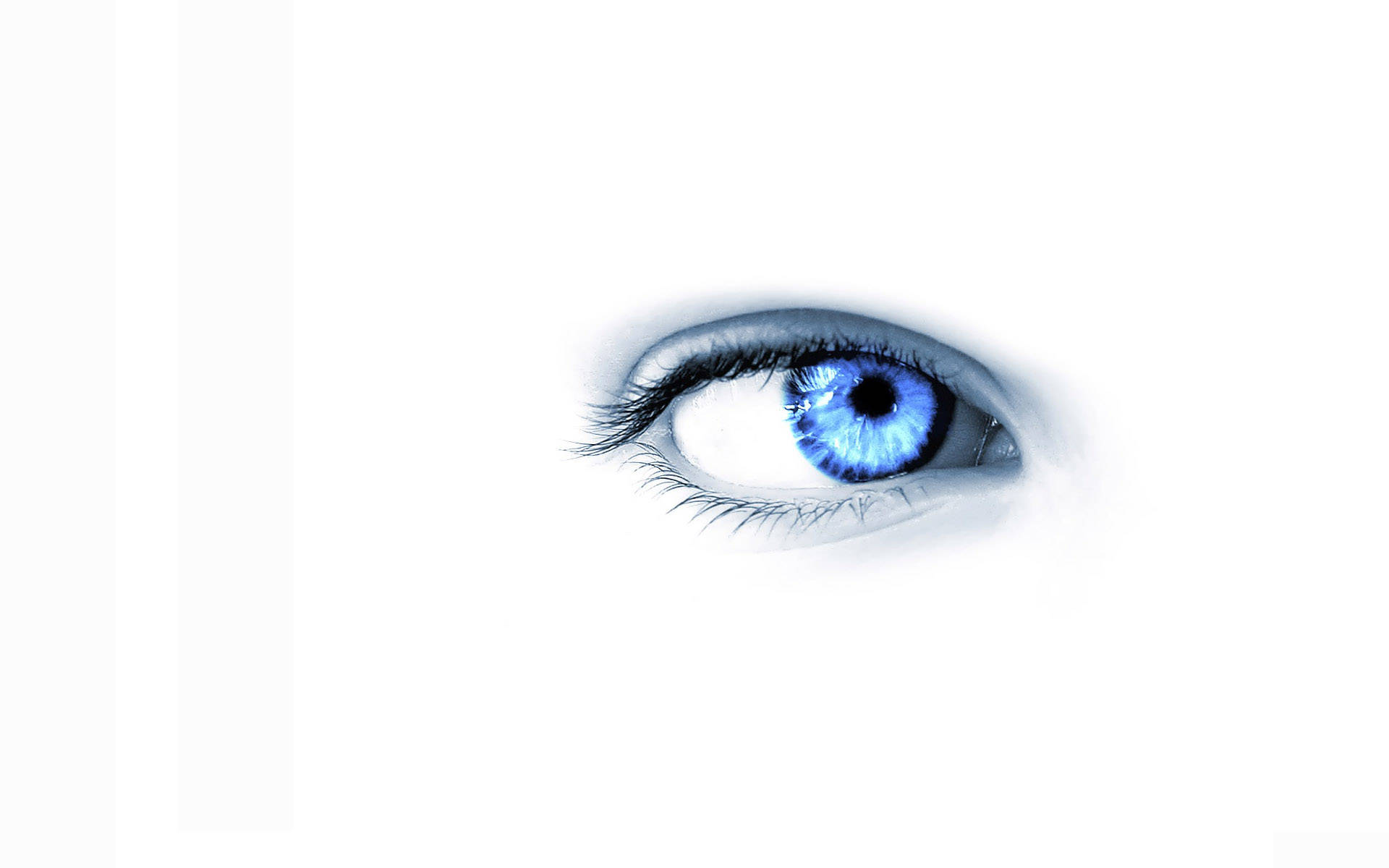 Blue Eye On Cool White