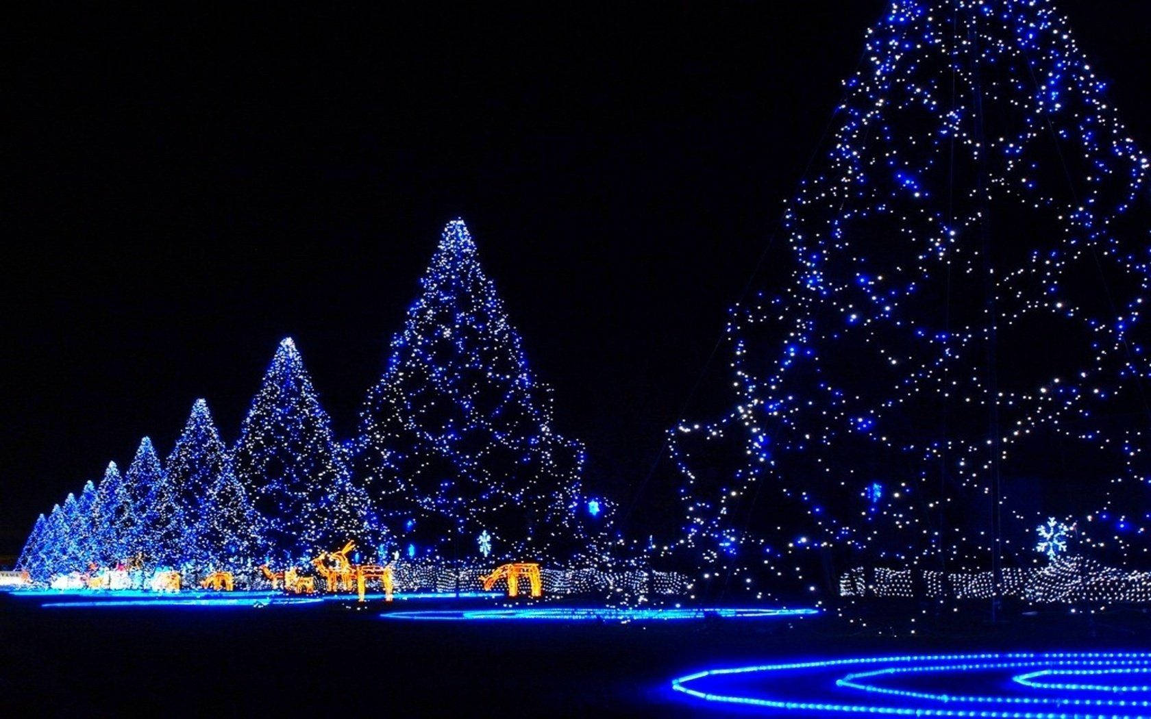 Blue Festive Christmas Tree Landscape