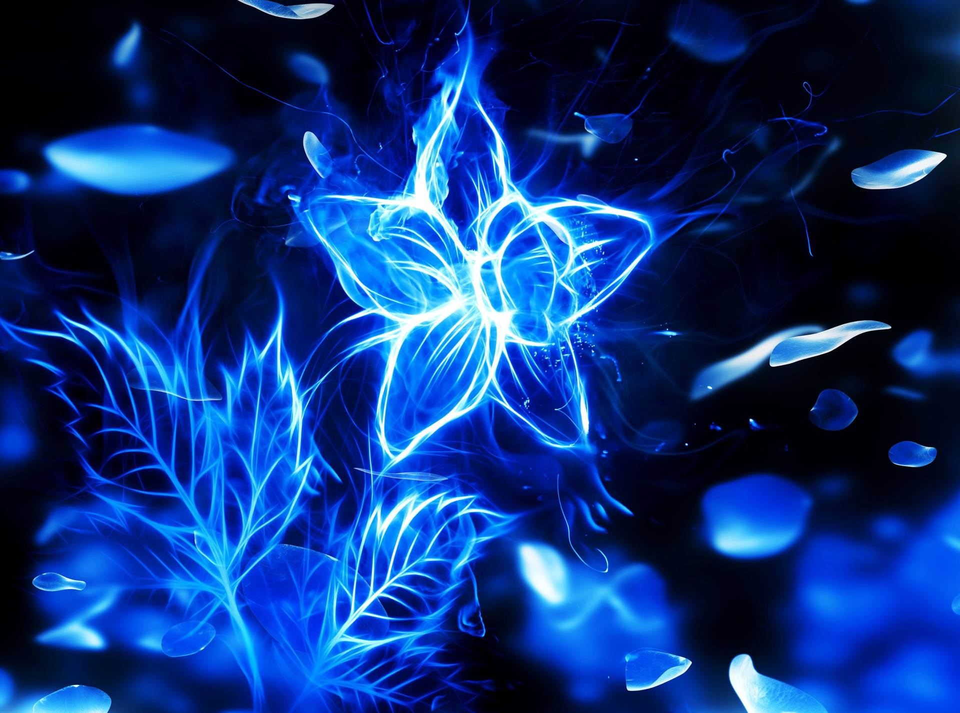 Blue Fire Flower