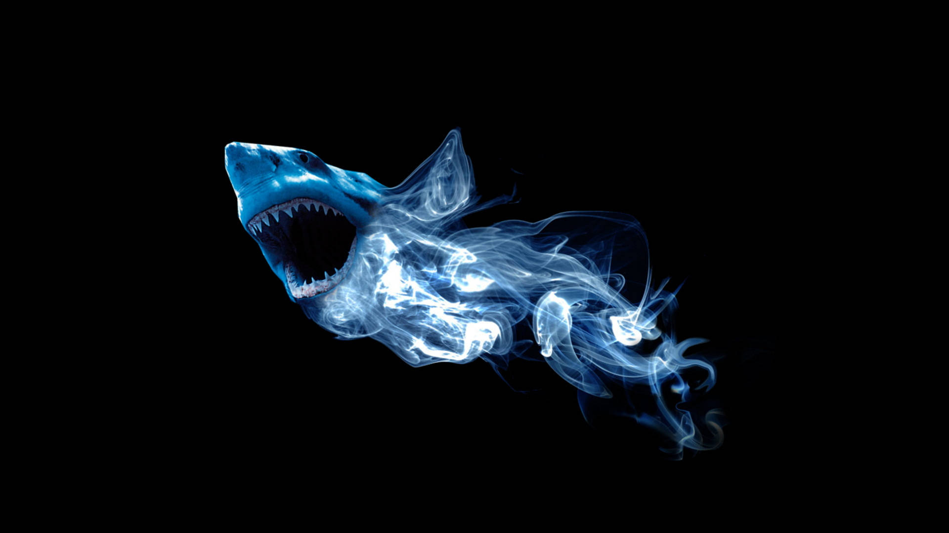 Blue Fire Shark Background