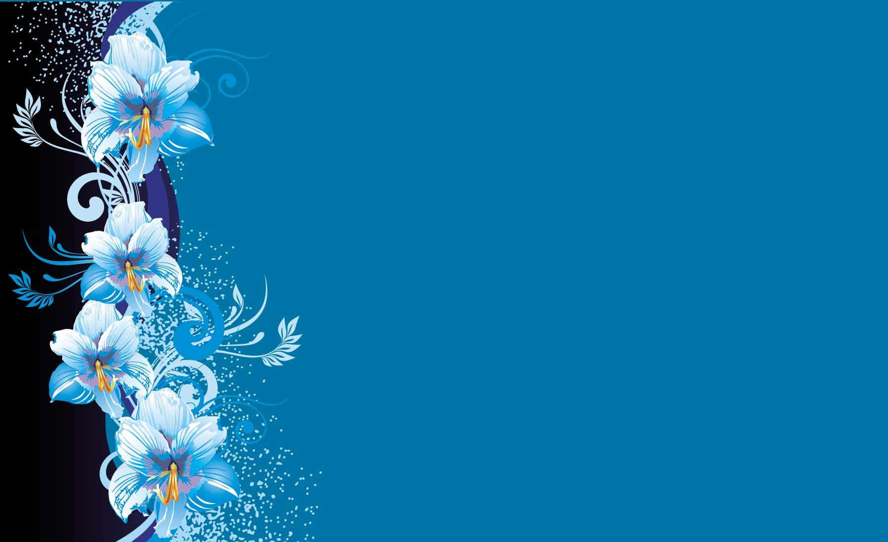 Blue Floral Background With White Flowers Background