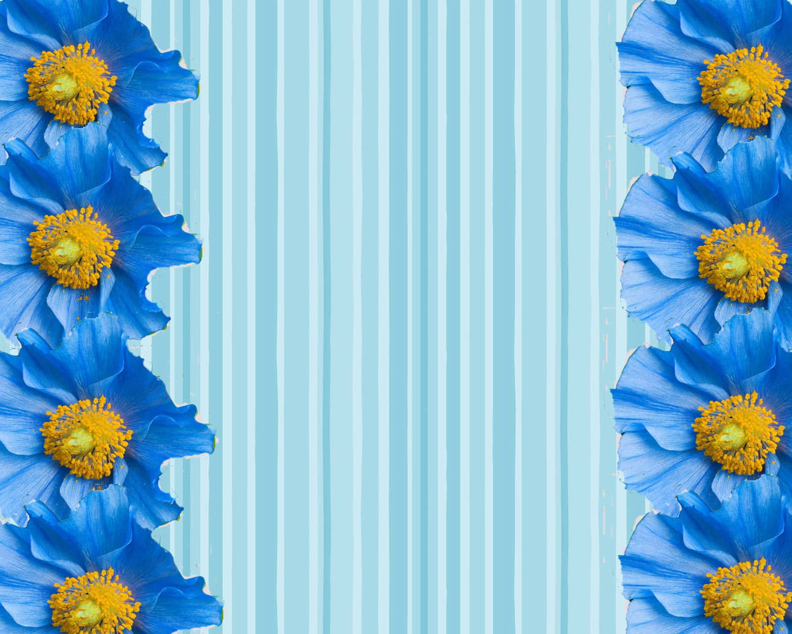 Blue Floral Stripe Border Design