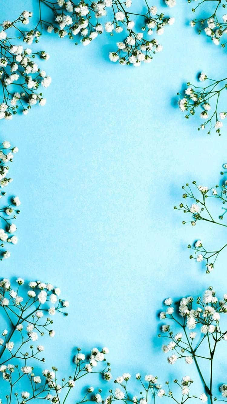 Blue Flowers Borders Aesthetic Background