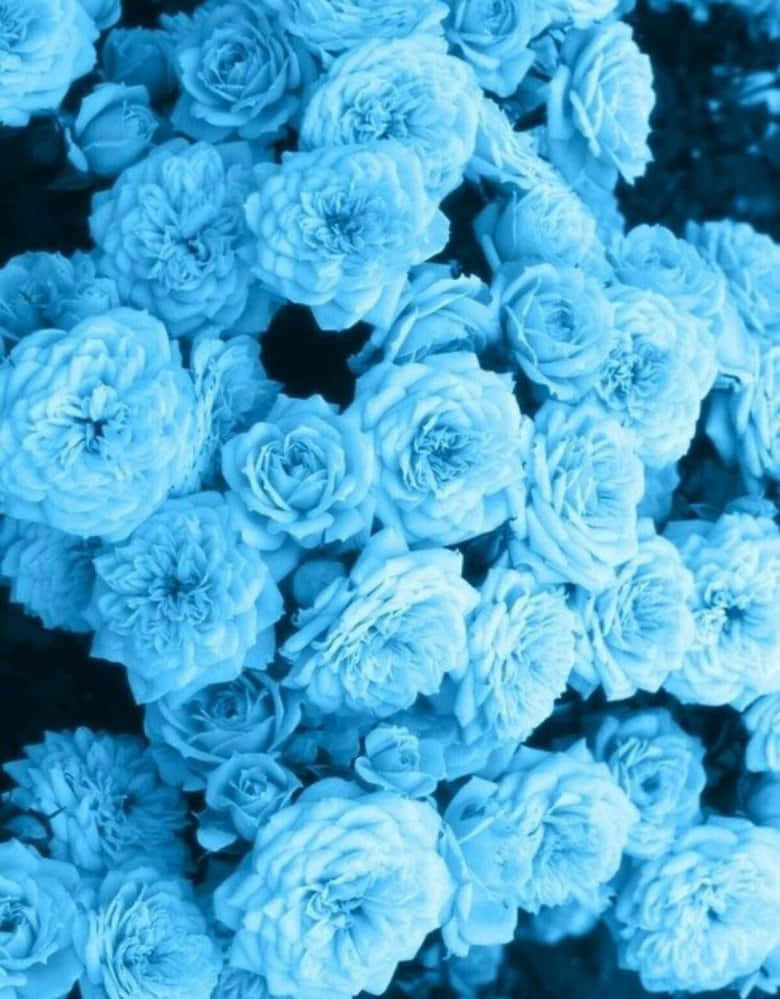 Blue Flowers Bouquet Aesthetic Background