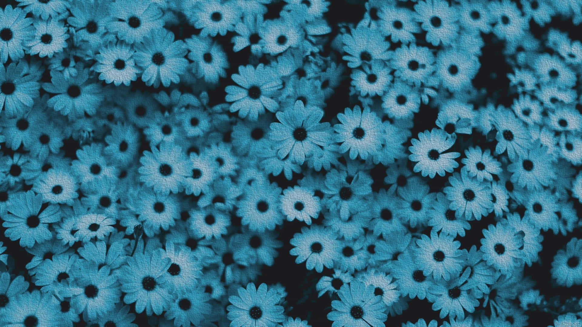 Blue Flowers Space Aesthetic Background