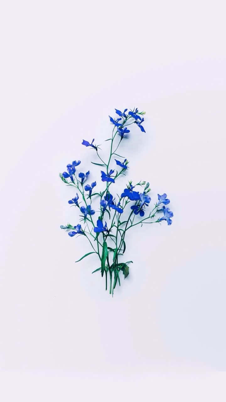 Blue Flowers Tied Up Aesthetic Background