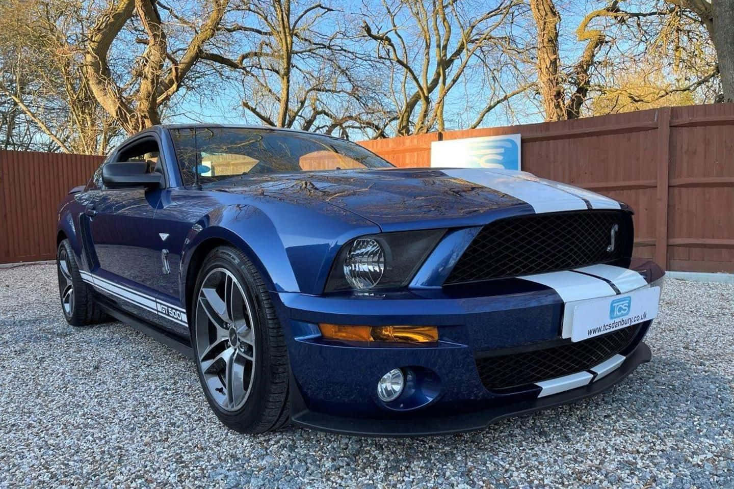Blue Ford Mustang Shelby G T500 Parked
