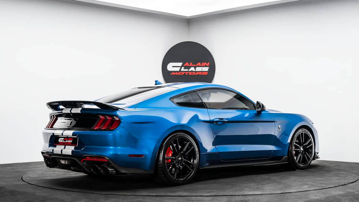 Blue Ford Mustang Shelby G T500 Showroom Background