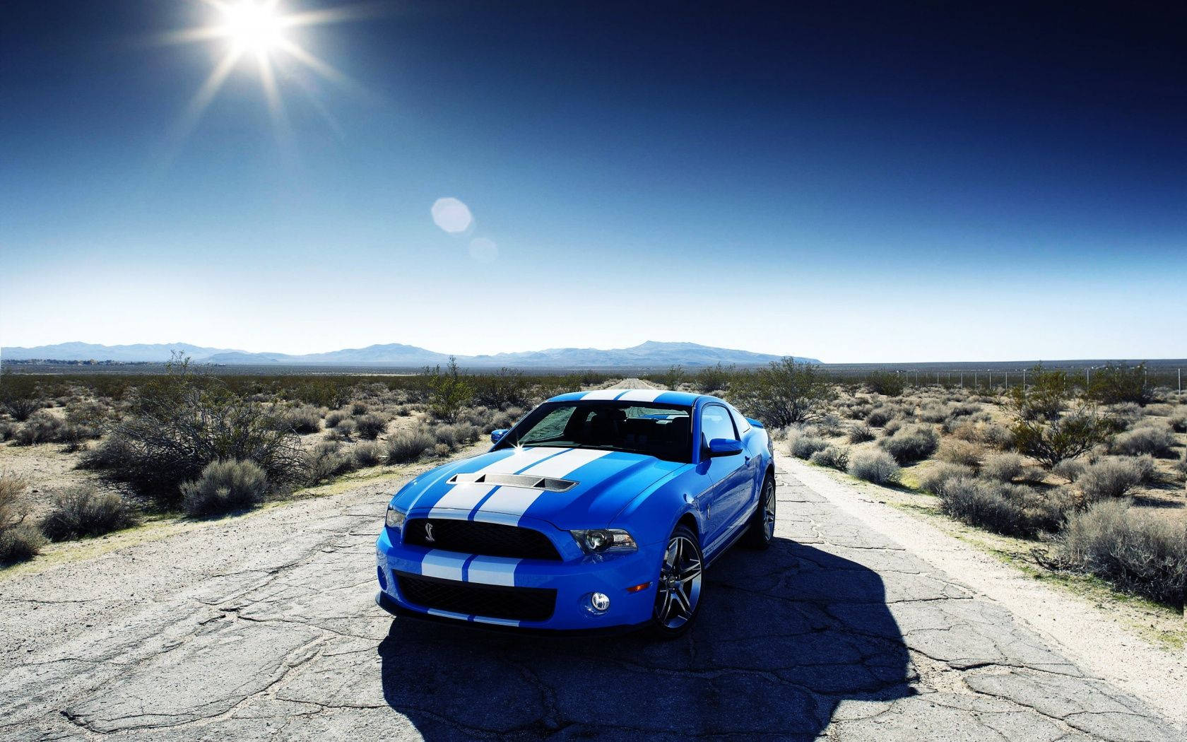 Blue Ford Shelby Gt500