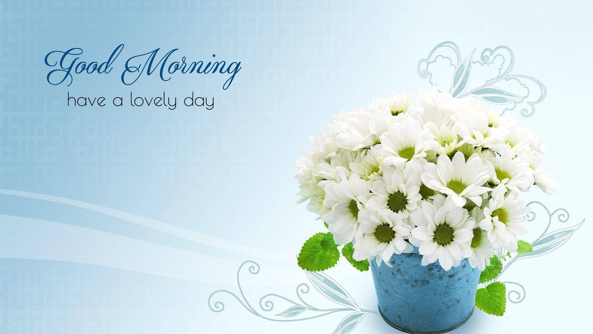 Blue Good Morning Hd Background