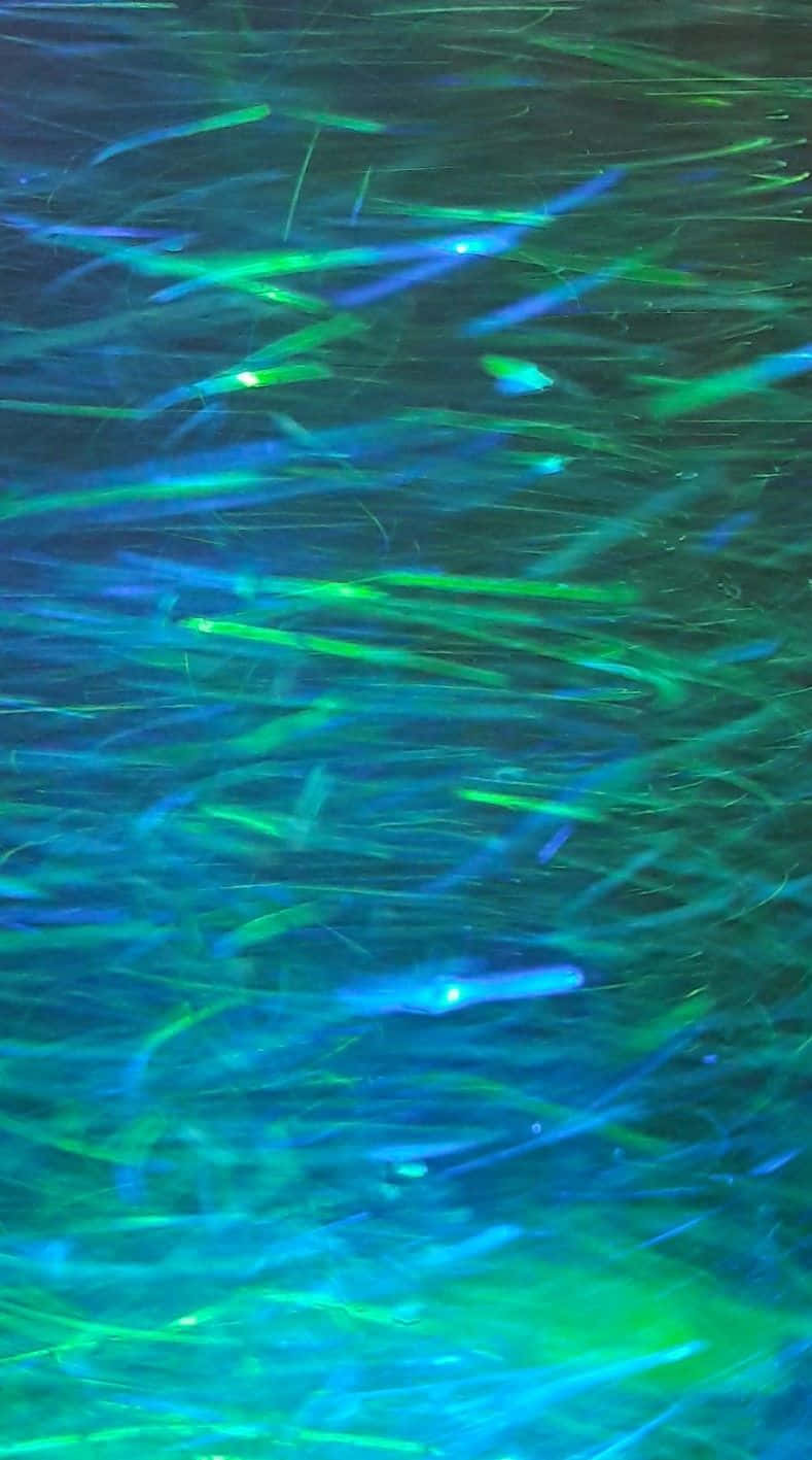Blue Green Aesthetic Fuzzy Lights Background